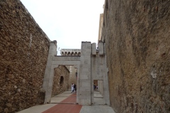 Up to the Palace