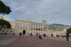 The Palace
