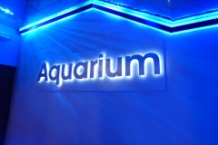 Inside the Aquarium!