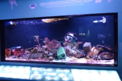 Scary trash exhibit