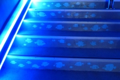 Glow in the dark staircase design