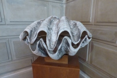 Mega Clam decor!