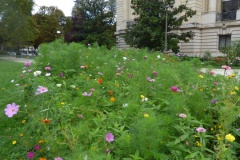 Flowers outside Le Petit Palais