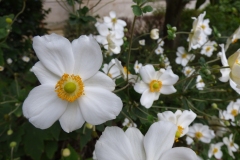 And more flowers