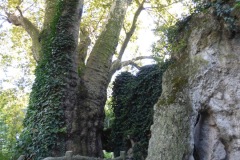 The West Gardens
