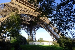 Eiffel Tower from The West Gardens