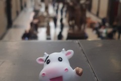 The Travelling Cow at the Musee d'Orsay