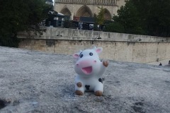 The Travelling Cow on a bridge near Notre-Dame, Paris