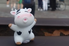 The Travelling Cow at Sacre-Coeur