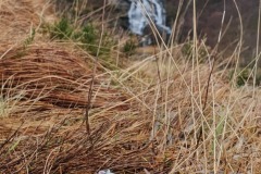 Steall Waterfall, west Scotland