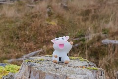 Hiking to Old Man of Storr on the Isle of Skye