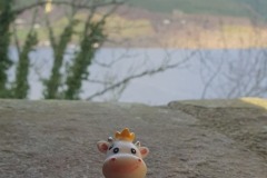 From inside Urquhart Castle