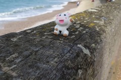 Etretat Cliffs