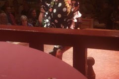 At the Flamenco
