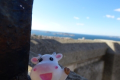 At La Bonne Mere, Marseille