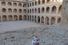 Travelling Cow  at the Vieille Charité, Marseille