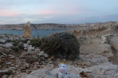 On Frioul Archipalego, Marseille