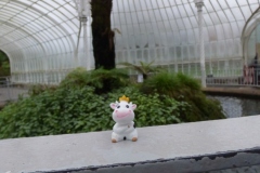 Glasgow Botanic Gardens