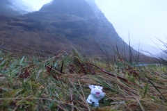 A very wet day in Glencoe