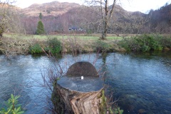 Near the Glenfinnan Viaduct