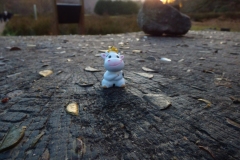 The Money Tree, near the Viaduct