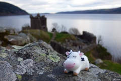 Loch Ness and Urquhart Castle
