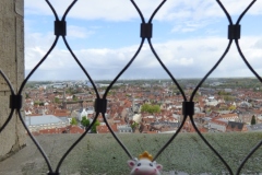 Top of the World! (Or at  least this Belgian Tower)