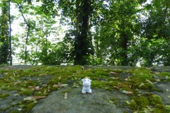 Mont Saint Michel surrounds
