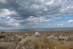 Normandie Beach