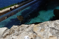 The Ocean Museum/Aquarium on Monaco