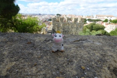 Lisbon