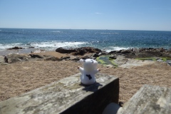Enjoying the beach in Porto